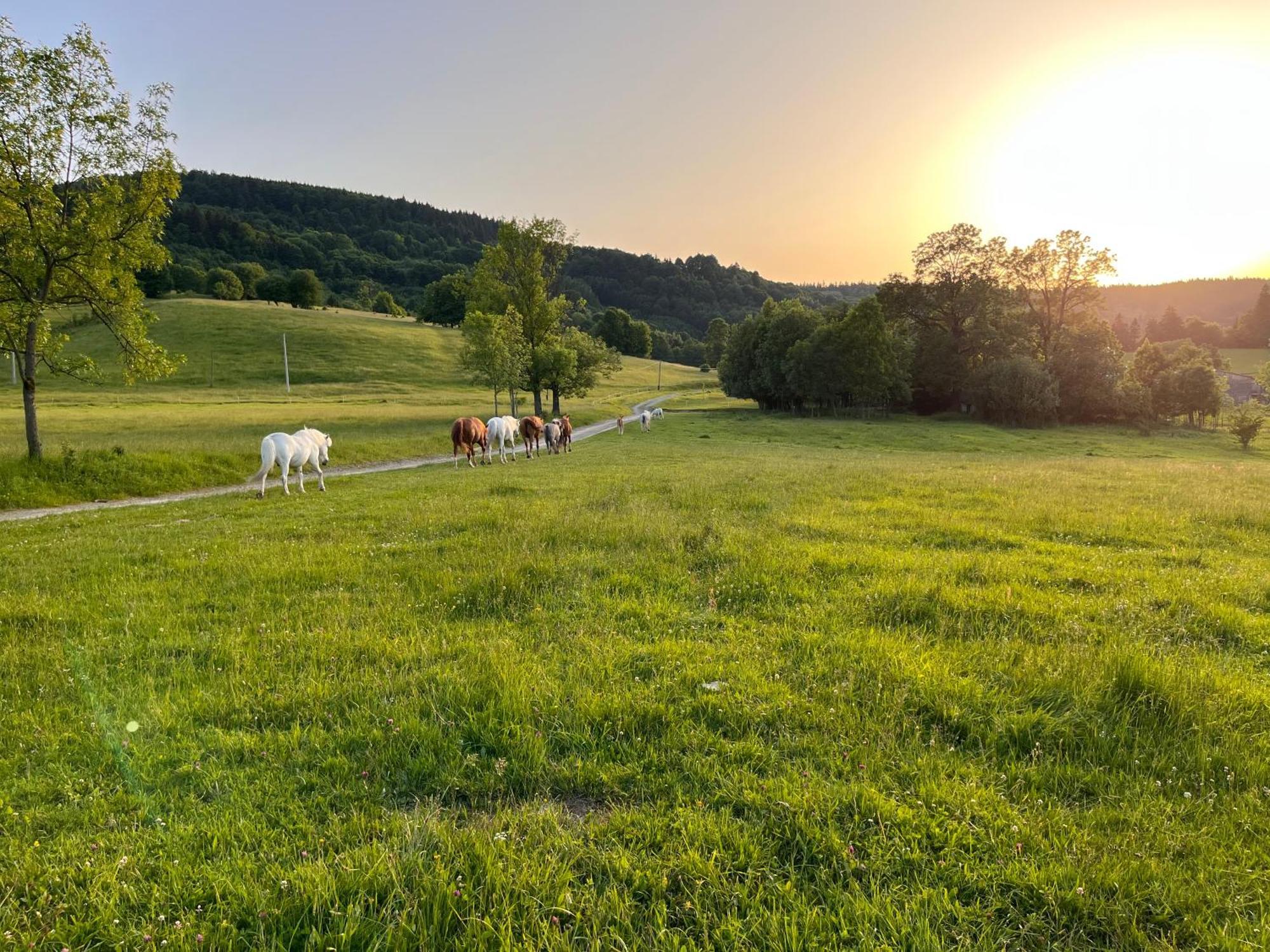 Bed and Breakfast Rancho Panderoza Душники-Здруй Экстерьер фото